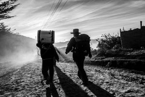 © Sebastian Castañeda