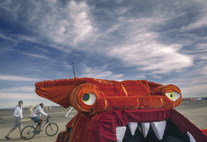 Afrikaburn Festival. South Africa.