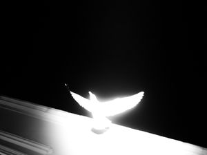 Mankind's Freedom