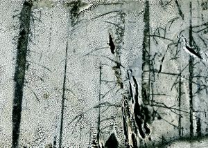 The Natural order-25