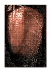 Malleus maleficarum #2