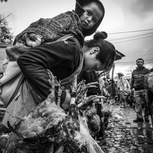 © Francisco Alcala Torreslanda