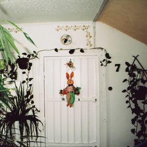 Flat entrance (2009)