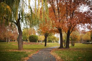 Fall in Tehran