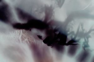 Untitled(Trees)