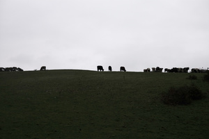 aber mawr. off road pen strwmbl to abereiddi