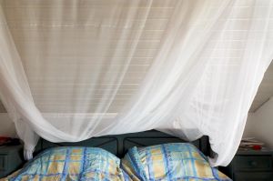 The Mosquito Net, Germany