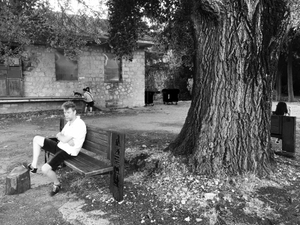 The Bench