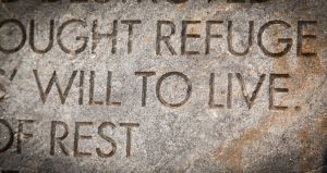 Will to live. © Silvia Dominguez
