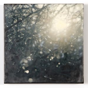 After the Rain, 2012