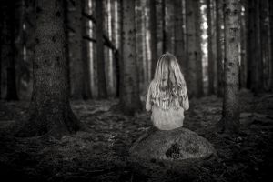 Silence in the woods