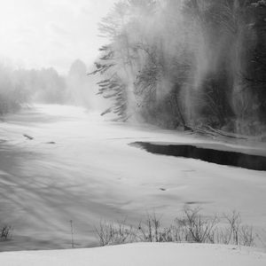 Snowblown © Abbey Box