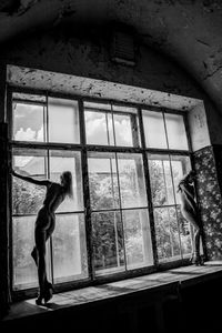 Window