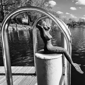 Nixe beim Sonnenbad