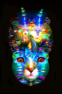 Cat #1