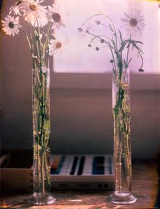 test tubes