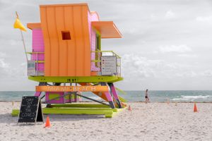 Life Guard Checkpoint II