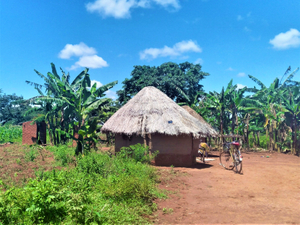 Typical Ugandan hut