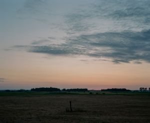 Meadows along the Narew River. Podlasie, Poland