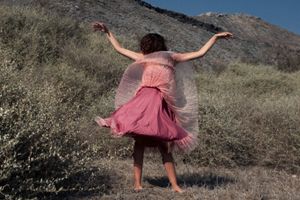 THE DRESS