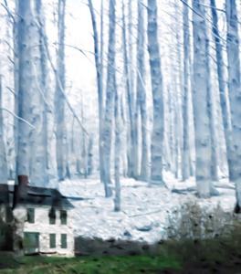 This Old House at the Edge of the Woods