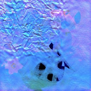 Pressed Flowers #3