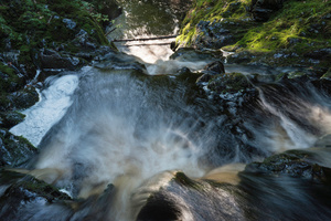 splash