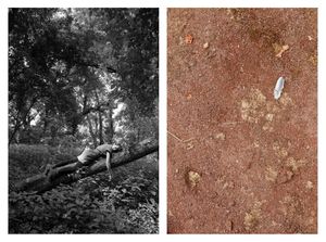“Sleeping girl & Feather on red earth”