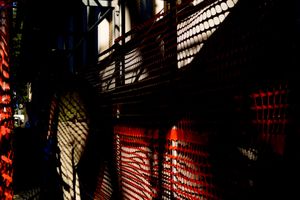 Shadow