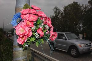 Fiori recisi