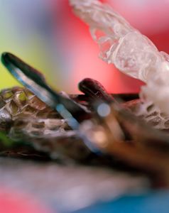 Snail