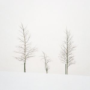 January