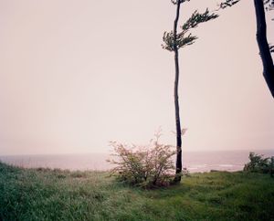 Still © Meike Nixdorf
