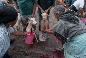 La Matanza