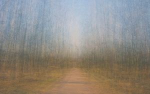 Path 9, 2011