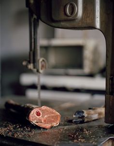 Deer Leg on the Meat Saw                       © Selena Salfen