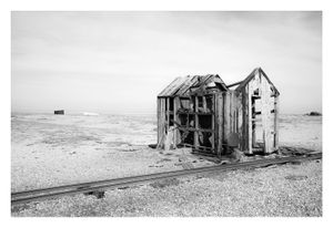 Dungeness #6a