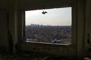 © Nicholas Gregory.     A plastic bird dangles from the thirteenth floor of Lee Plaza in Detroit. Once a symbol of Detroit's wealth,  Lee Plaza is a shell void of windows and its famous copper roof.