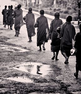 Monks VII