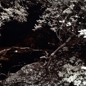 Insight #3, Utica, IL, 2008                             © Kimberly Schneider