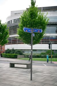 Urban trees, Urban & Street Photography, Landscape Photography, Documentary Photography. © Irena Siwiak Atamewan