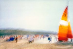 Summer on the beach