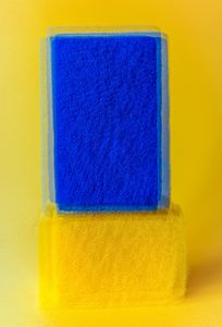Ordinary subjects and color field_2