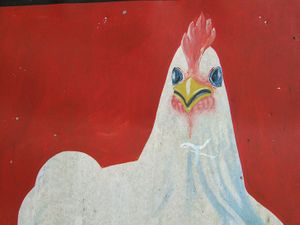 Chicken, between Thekkady and Kochi, Kerala, 2010.
