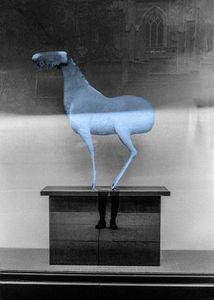 My kind of Blue - Two-legged blues