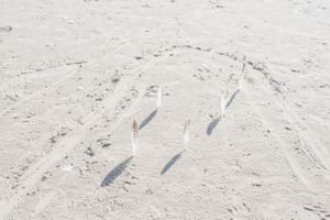 Skagen