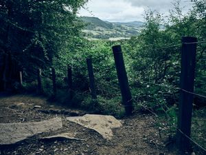 The birks of Aberfeldy