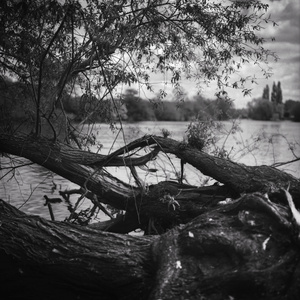 River Thames, Reading, UK