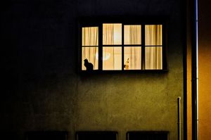 Because the night