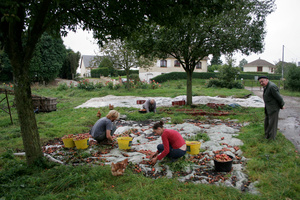 Gathering cider apples